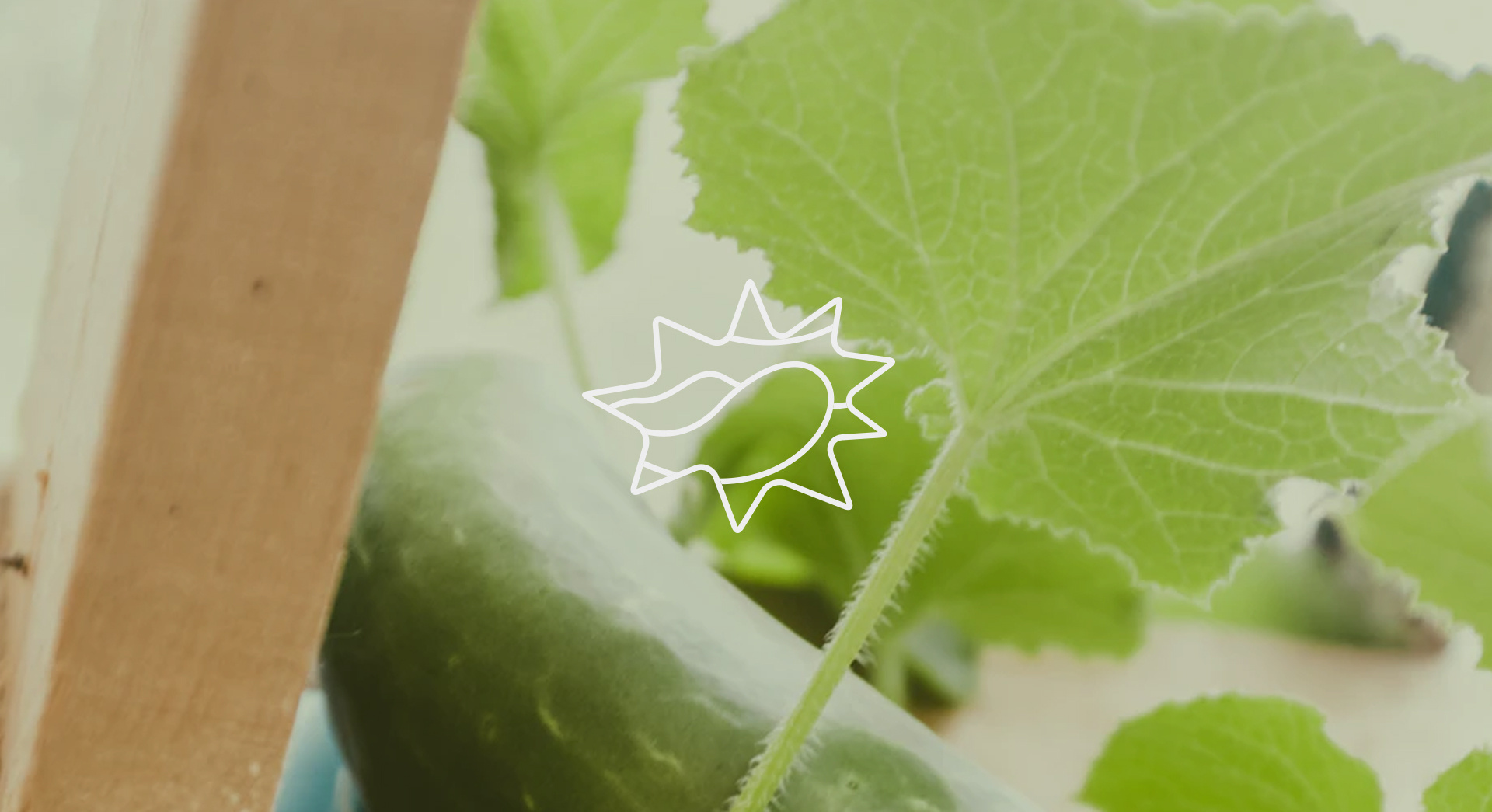 港股概念追踪 | 航运巨头纷纷上调运价!短期航运市场风险溢价上行或带来交易性机会(附概念股)