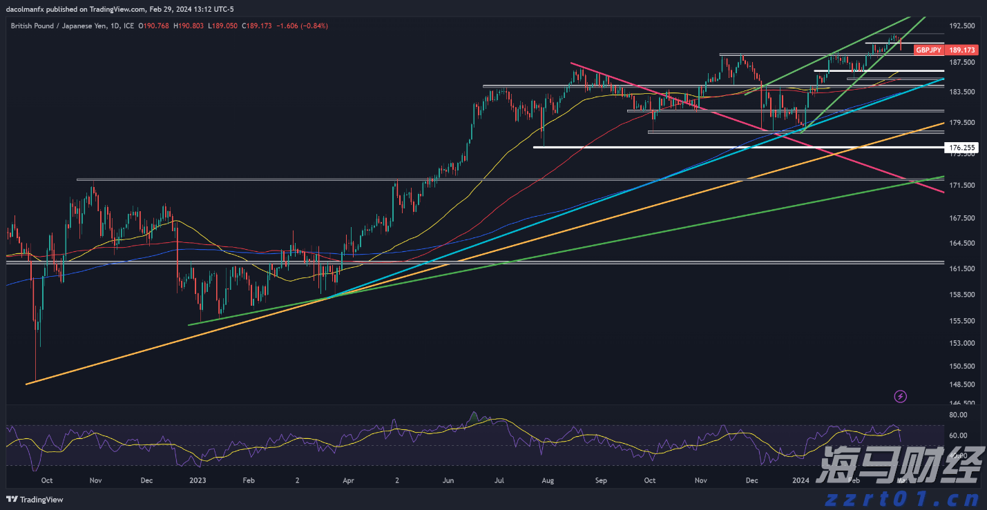 2025年贵港市“ 荷香满城 趣玩一夏 ”文化旅游消费大夜市活动(港北主场)启动
