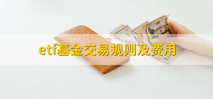 民生向暖 幸福加码——港北区以精细化服务擦亮民生“底色”综述